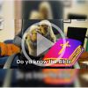 "Do ya know the Bible?" Video File