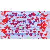 "It's Love!" Video File - Full Track Version